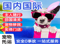 西双版纳空运公司国际宠物托运 【国